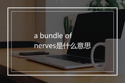 a bundle of nerves是什么意思