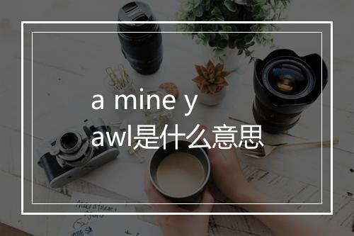 a mine yawl是什么意思