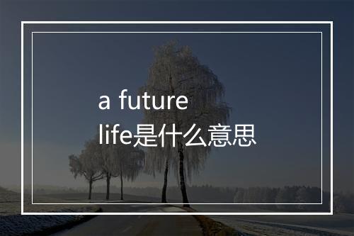 a future life是什么意思