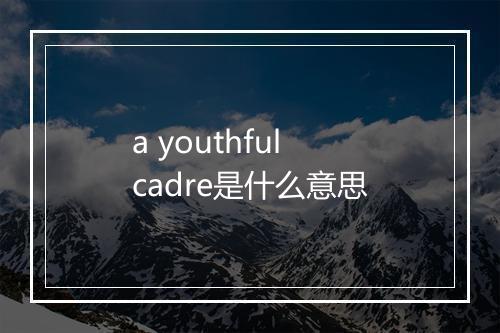 a youthful cadre是什么意思