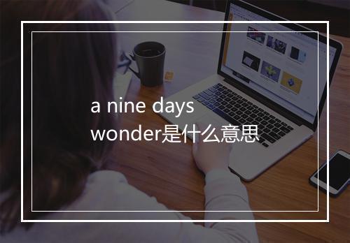 a nine days wonder是什么意思