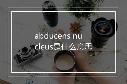 abducens nucleus是什么意思