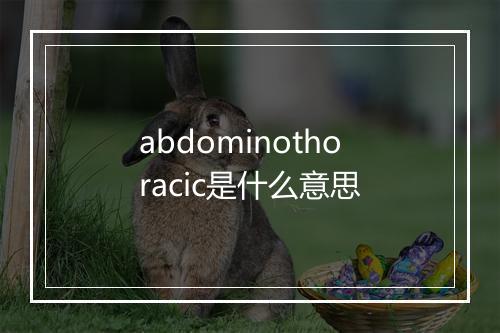 abdominothoracic是什么意思