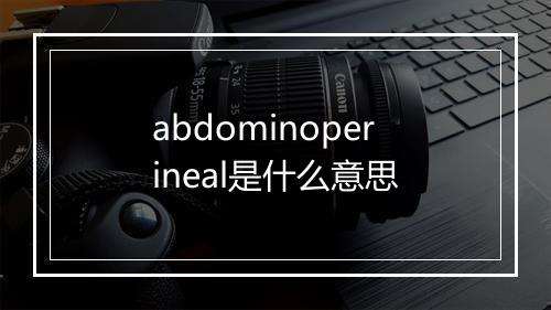 abdominoperineal是什么意思