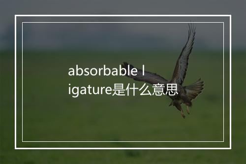 absorbable ligature是什么意思