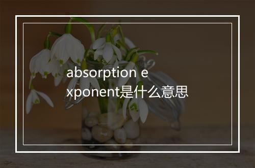 absorption exponent是什么意思