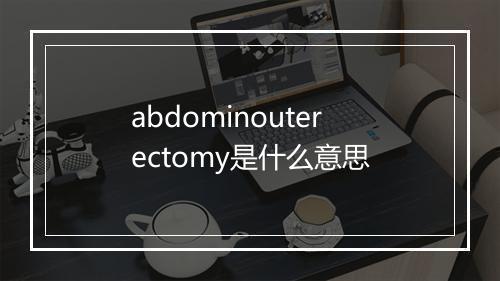 abdominouterectomy是什么意思