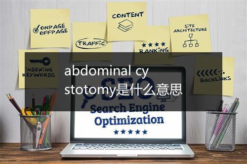 abdominal cystotomy是什么意思