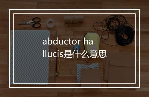 abductor hallucis是什么意思