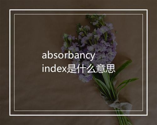 absorbancy index是什么意思