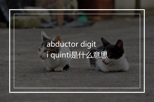 abductor digiti quinti是什么意思