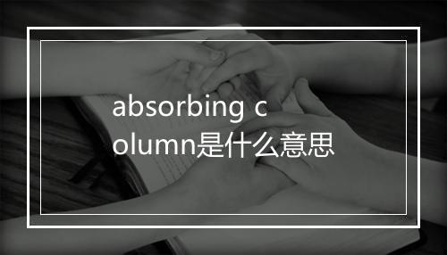 absorbing column是什么意思