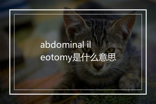 abdominal ileotomy是什么意思