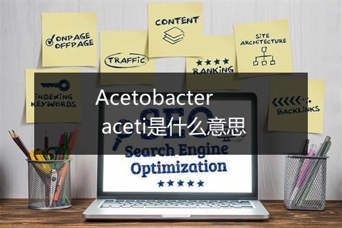 Acetobacter aceti是什么意思