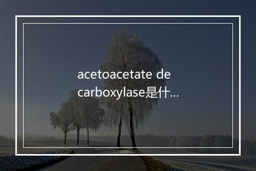 acetoacetate decarboxylase是什么意思