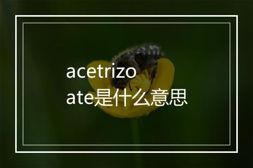 acetrizoate是什么意思