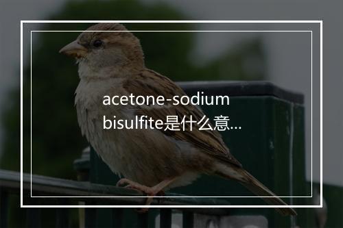 acetone-sodium bisulfite是什么意思