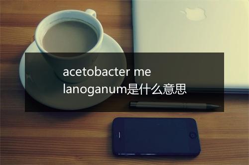 acetobacter melanoganum是什么意思