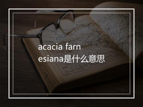 acacia farnesiana是什么意思