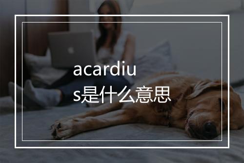 acardius是什么意思