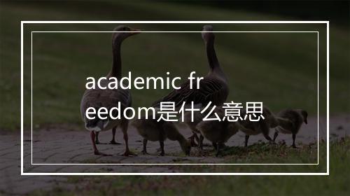 academic freedom是什么意思