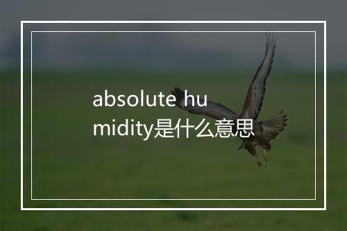 absolute humidity是什么意思