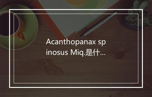 Acanthopanax spinosus Miq.是什么意思