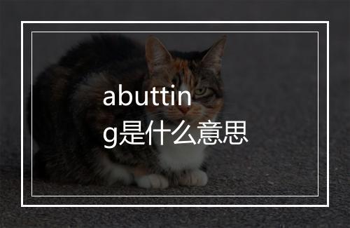 abutting是什么意思