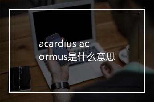 acardius acormus是什么意思