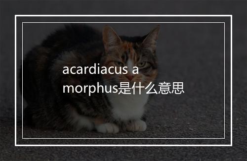 acardiacus amorphus是什么意思