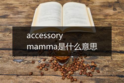 accessory mamma是什么意思