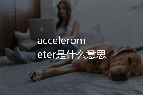 accelerometer是什么意思