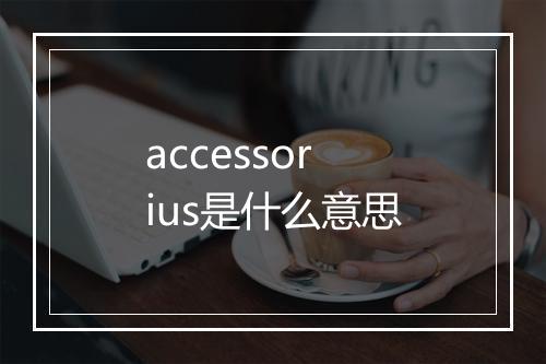 accessorius是什么意思