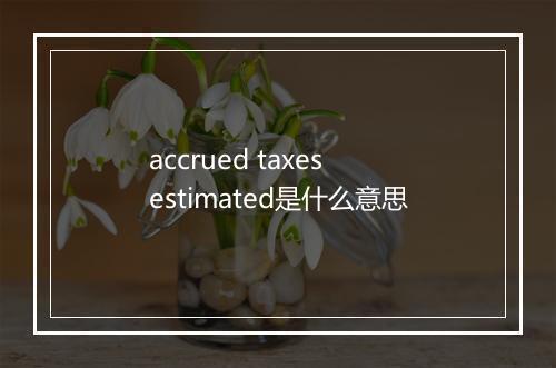 accrued taxes estimated是什么意思