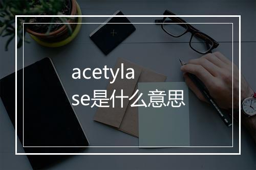 acetylase是什么意思