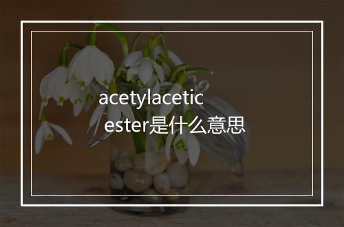 acetylacetic ester是什么意思