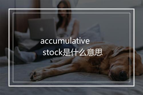 accumulative stock是什么意思