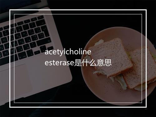 acetylcholine esterase是什么意思