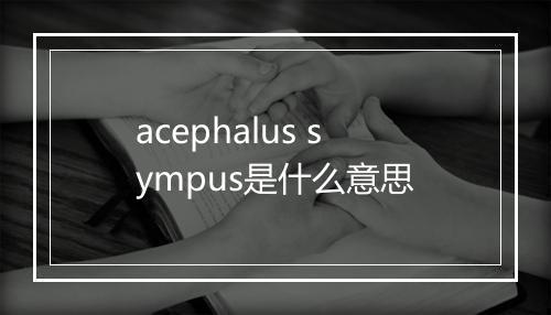 acephalus sympus是什么意思