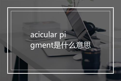 acicular pigment是什么意思