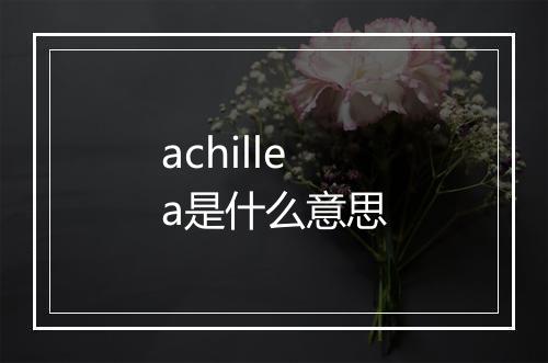 achillea是什么意思