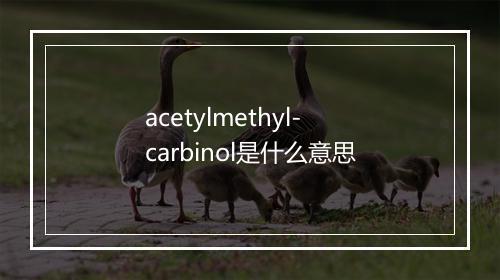 acetylmethyl-carbinol是什么意思