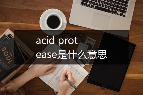 acid protease是什么意思