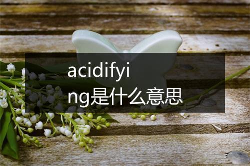 acidifying是什么意思