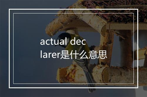 actual declarer是什么意思