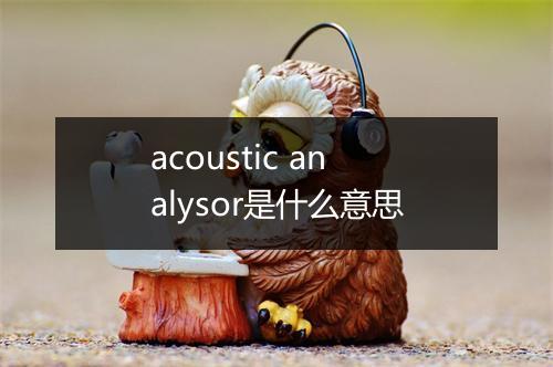 acoustic analysor是什么意思