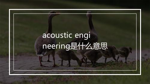 acoustic engineering是什么意思