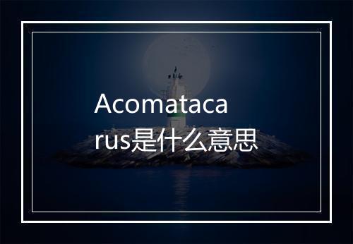 Acomatacarus是什么意思