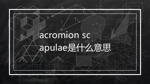 acromion scapulae是什么意思