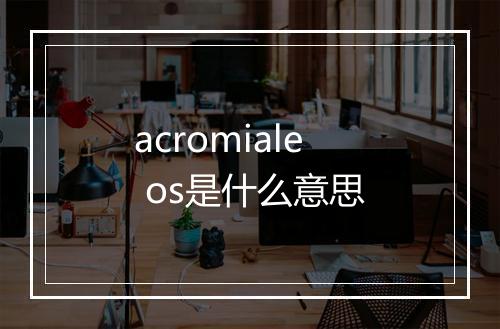 acromiale os是什么意思